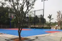 Thi công sân bóng rổ